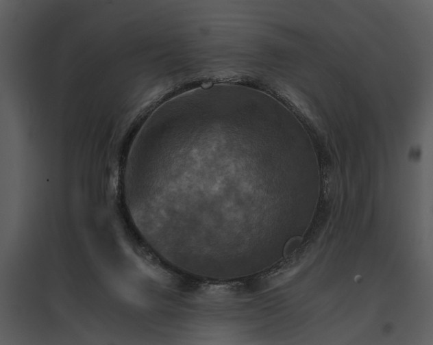 X0000095670072200801151113