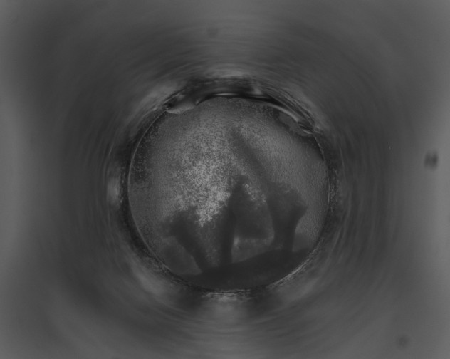 X0000095670074200801151113