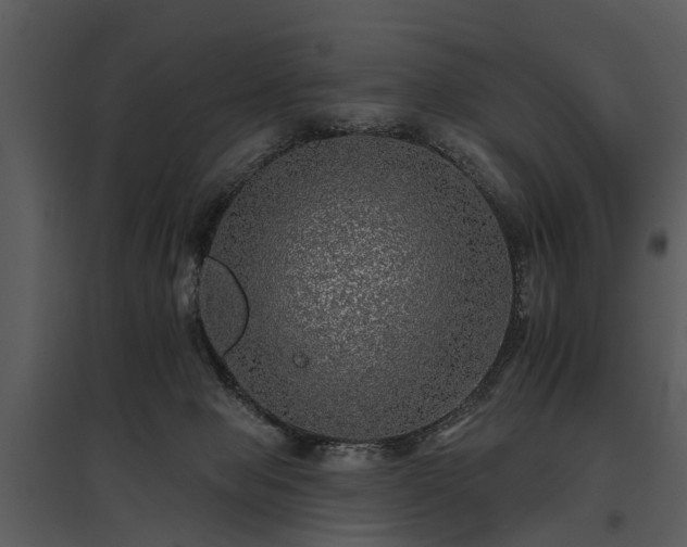 X0000095670077200801151113