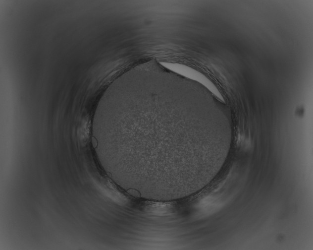 X0000095670081200801151113