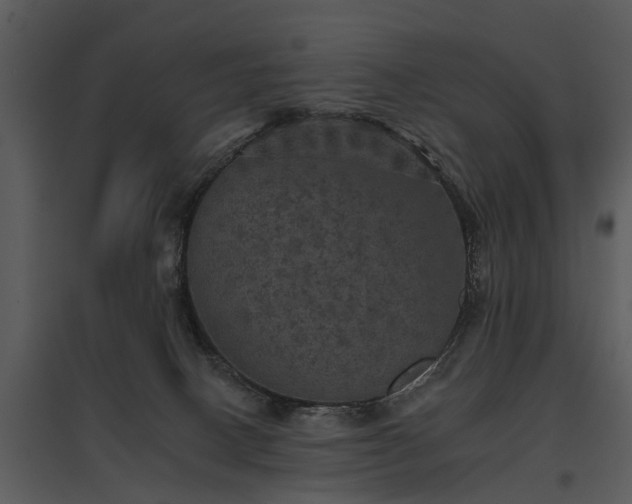 X0000095670082200801151113