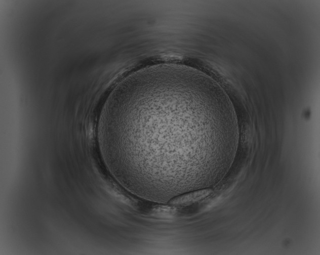 X0000095670084200801151113