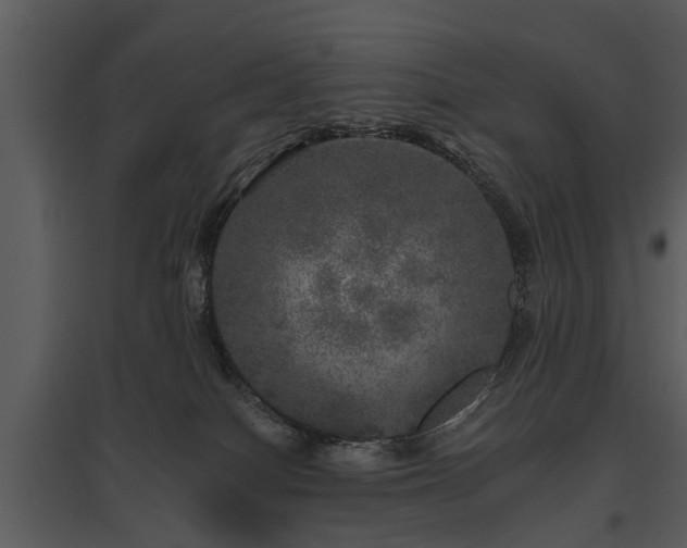 X0000095670086200801151113