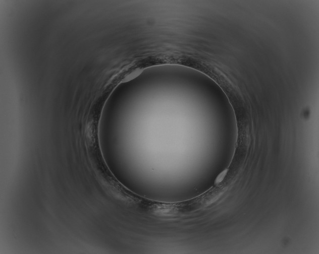 X0000095670088200801151113