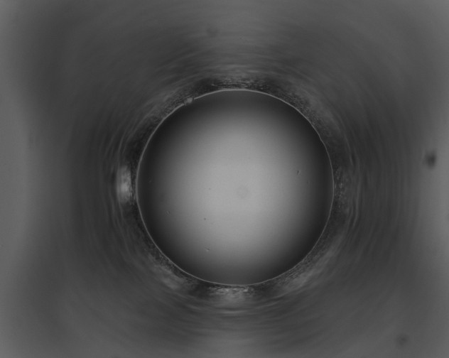 X0000095670089200801151113