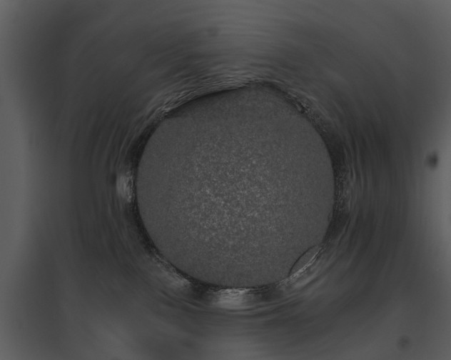 X0000095670090200801151113