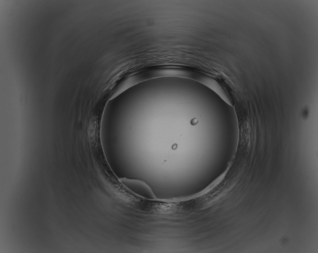 X0000095670092200801151113