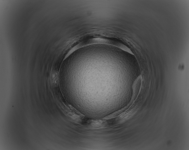 X0000095670096200801151113