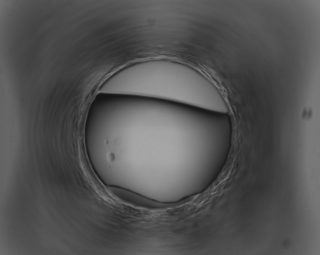 X0000095670097200801151113