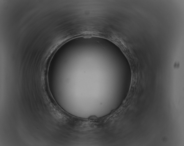 X0000095670098200801151113