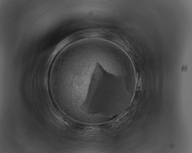 X0000095670099200801151112