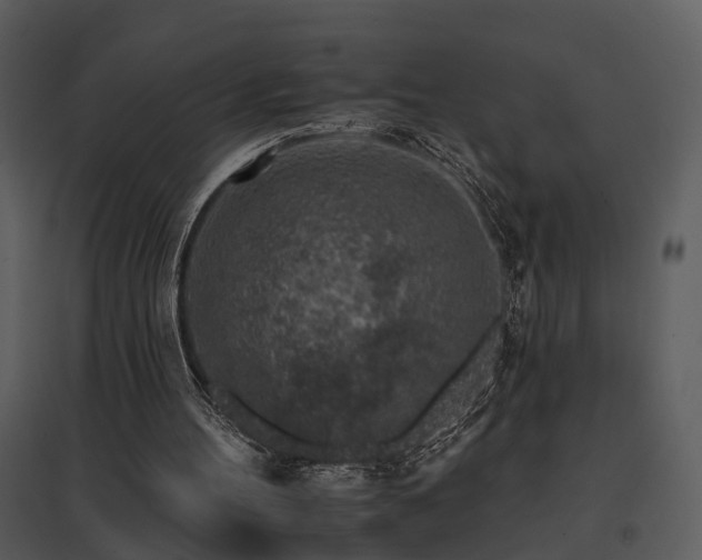 X0000095670100200801151112