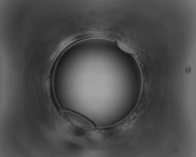 X0000095670103200801151112