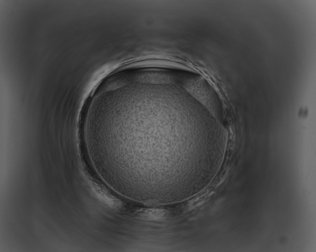 X0000095670104200801151112