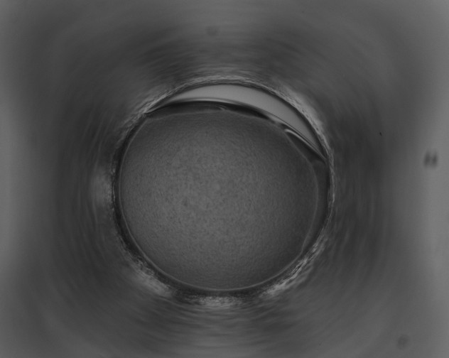 X0000095670105200801151112