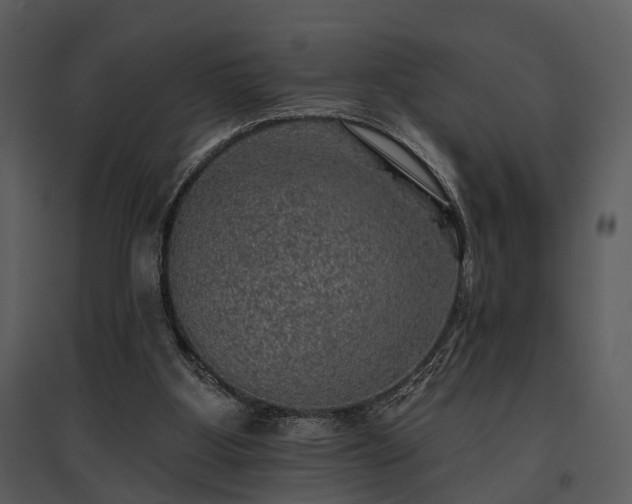 X0000095670107200801151112