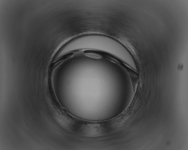 X0000095670108200801151112