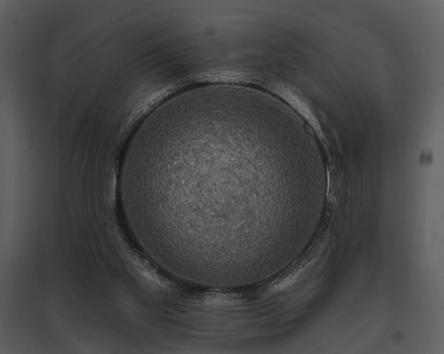 X0000095670109200801151112