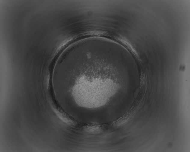 X0000095670110200801151112