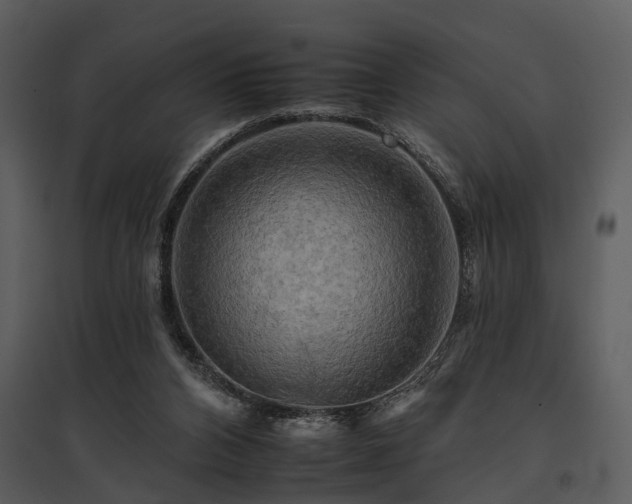 X0000095670112200801151112