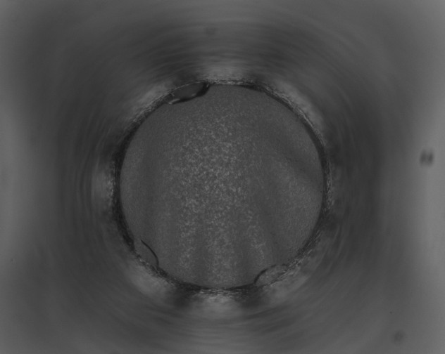 X0000095670113200801151112