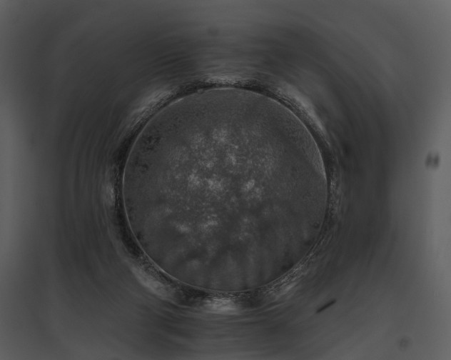 X0000095670114200801151112