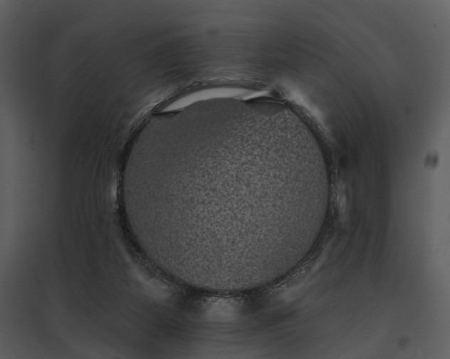 X0000095670115200801151112