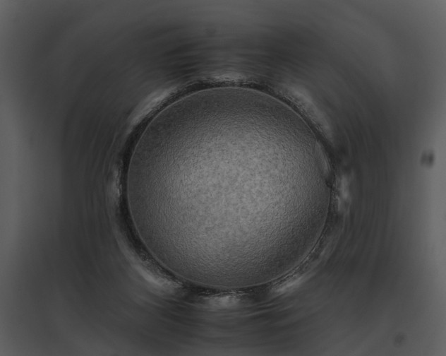 X0000095670116200801151112