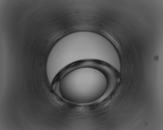 X0000095670117200801151112