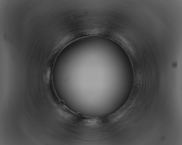 X0000095670118200801151112