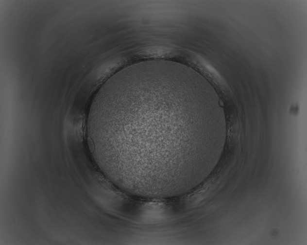 X0000095670119200801151112