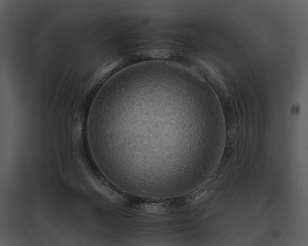 X0000095670120200801151112