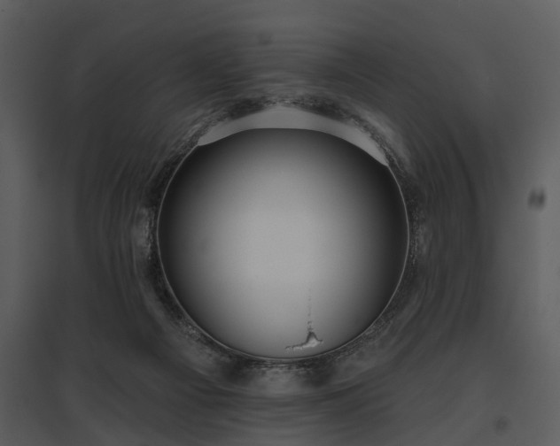 X0000095670121200801151112