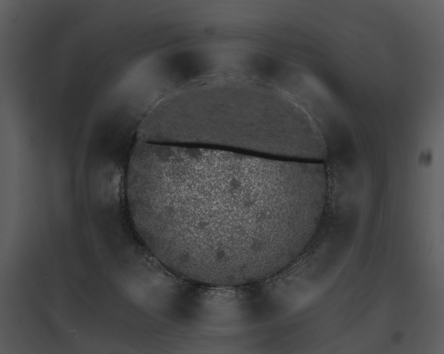 X0000095670123200801151112