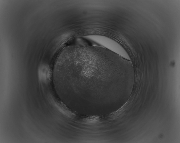 X0000095670124200801151112