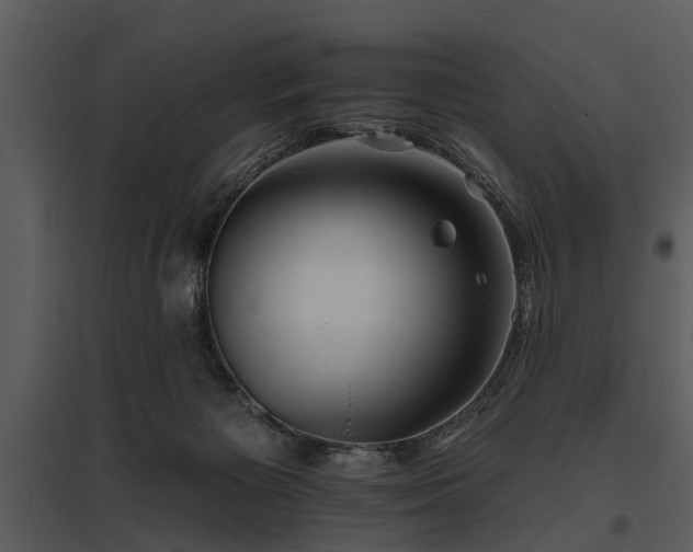 X0000095670125200801151112