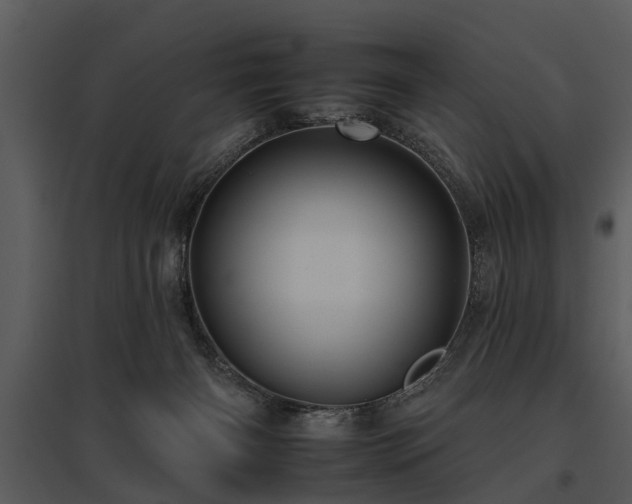 X0000095670126200801151112