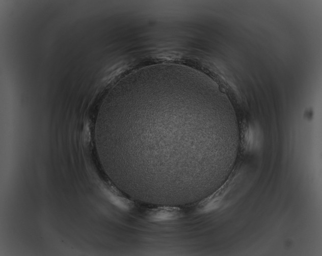 X0000095670128200801151112