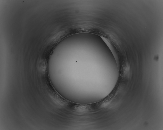 X0000095670129200801151112