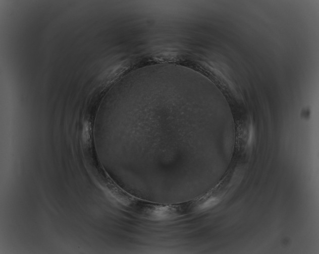 X0000095670130200801151112