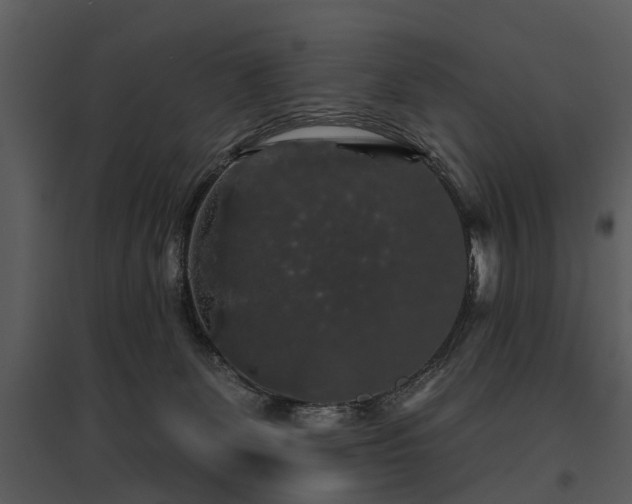 X0000095670131200801151112