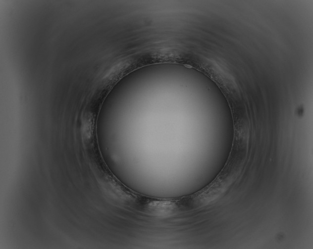 X0000095670133200801151112