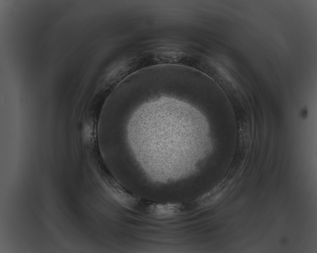 X0000095670134200801151112