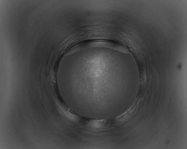 X0000095670136200801151112