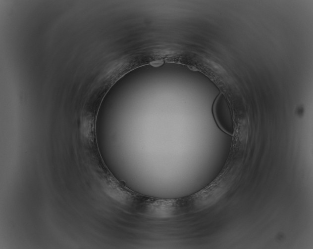 X0000095670138200801151112