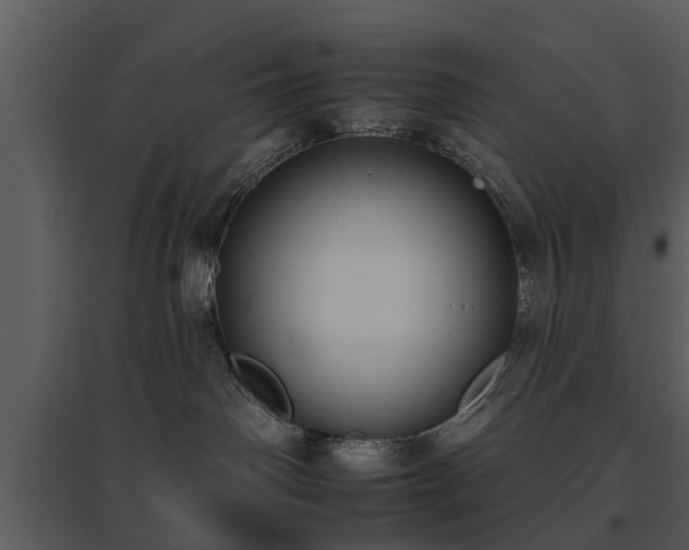 X0000095670142200801151112