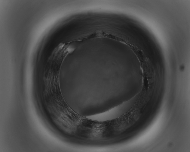 X0000095670143200801151112