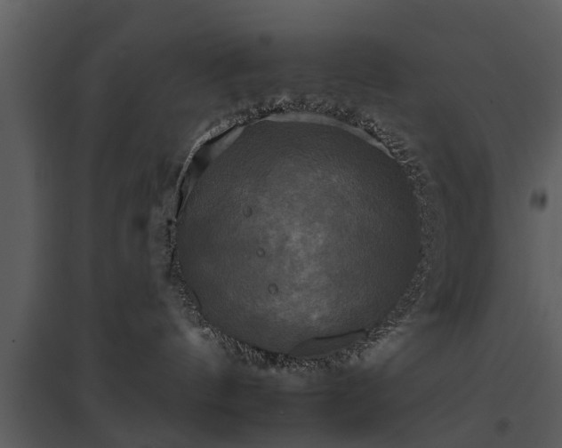 X0000095670144200801151112