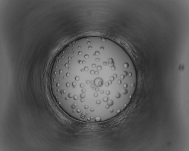 X0000095670145200801151111