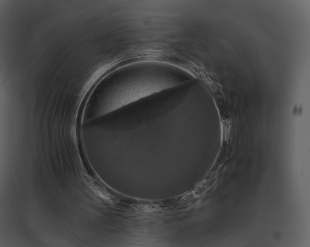 X0000095670147200801151111